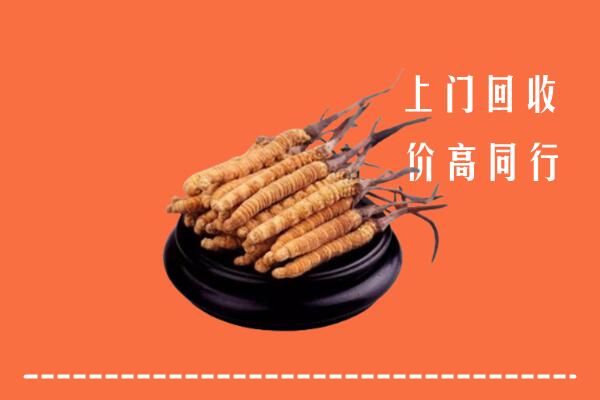 高价求购：南阳市社旗县回收散虫草