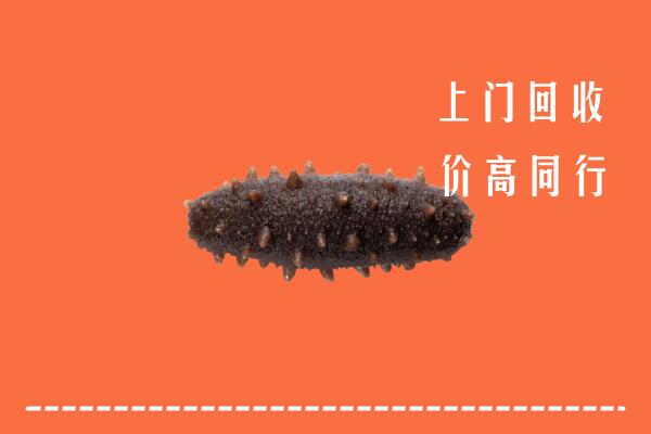 高价求购：南阳市社旗县回收海参