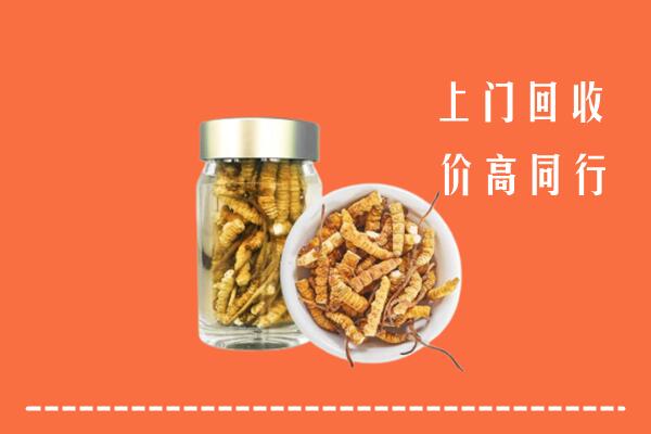 南阳市社旗县回收冬虫夏草